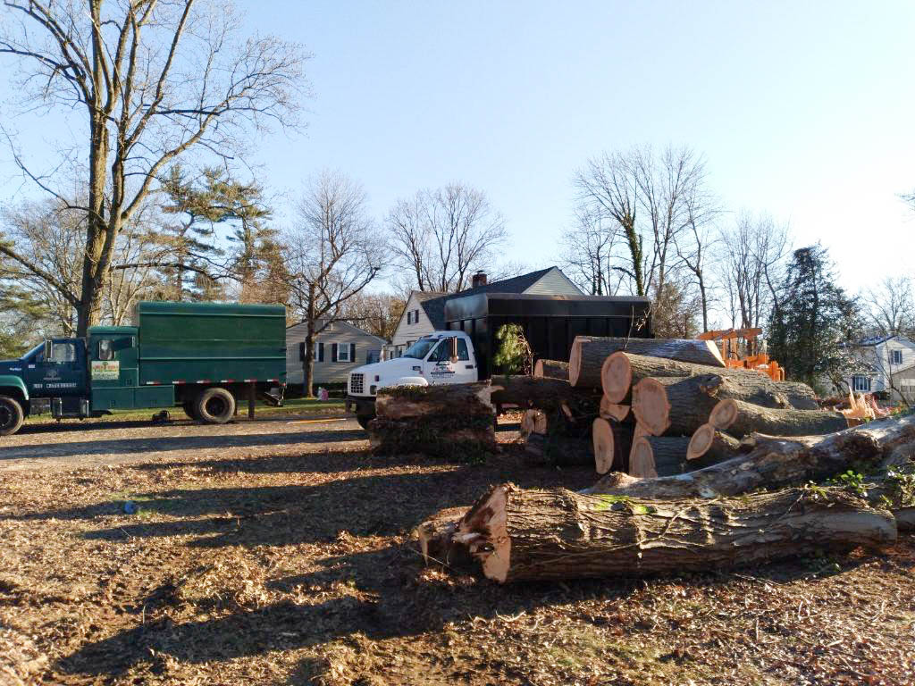 joru-tree-services-nj-2021